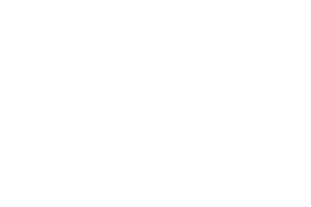 Hugo 45